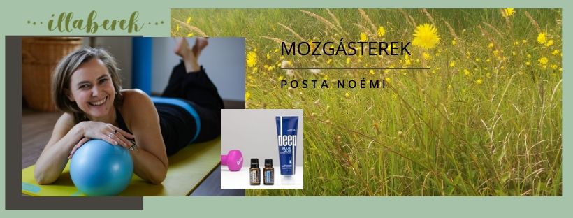 illaberek mozgasterek vegleges